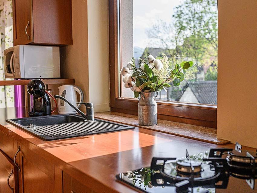 Apartment Visitzakopane - Rodzinny
